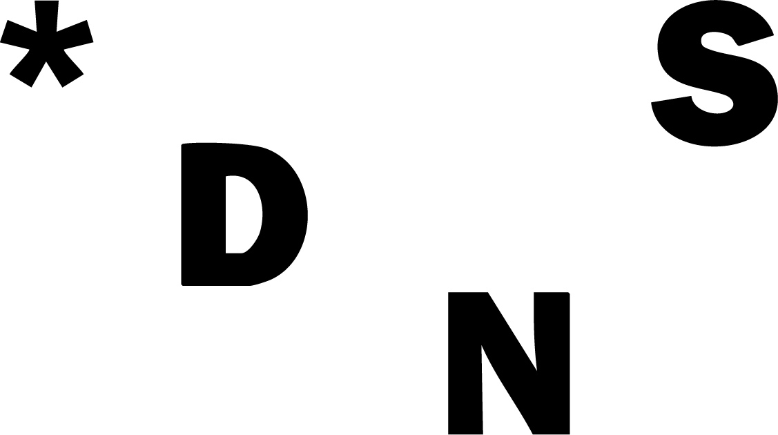 Logo client DNS